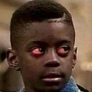 Meet your Posher, Bee